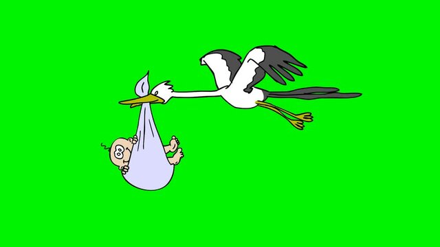 Stork bringing baby.
2D animation.HD 1080.Seamless loop.Green screen/alpha matte.