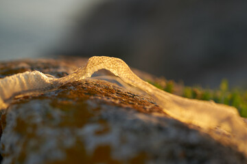 dried skin of a snake on the sand in nature in the mountains