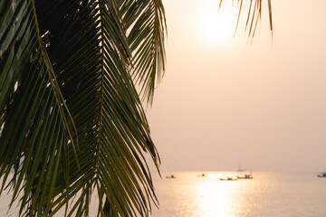 Fototapeta premium Sunset over the sea with Coconut palm tree on the tropical beach and orange pastel sky.