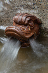 Dragon spitting water