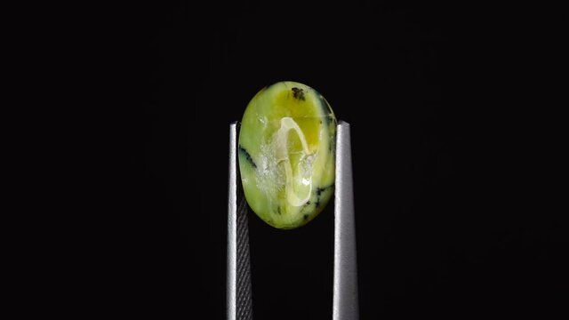 natural green opal gemstone in the tweezer on the background