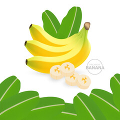 Realistic fresh Banana for good health vector illustration.