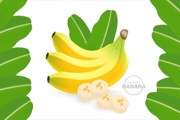 Realistic fresh Banana for good health vector illustration.
