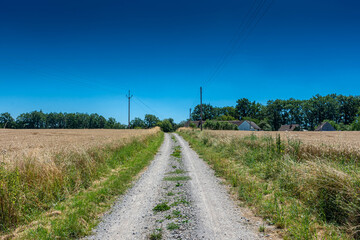 Fototapeta na wymiar Beautiful countryside near Zvikov, in Czech Republic