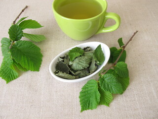 Hazelnut leaf tea with in the dehydrator dried hazel leaves