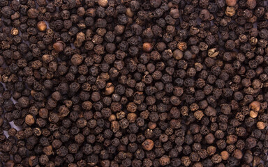 Black pepper corns spices stock photo