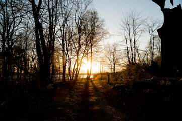 Wannsee in the sunset