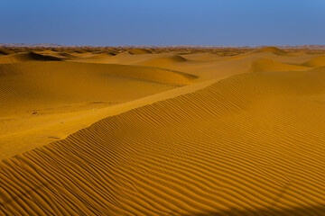 Fototapeta na wymiar Sand dunes at sunset, Saudi Arabia