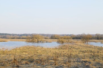 Lake in a spring