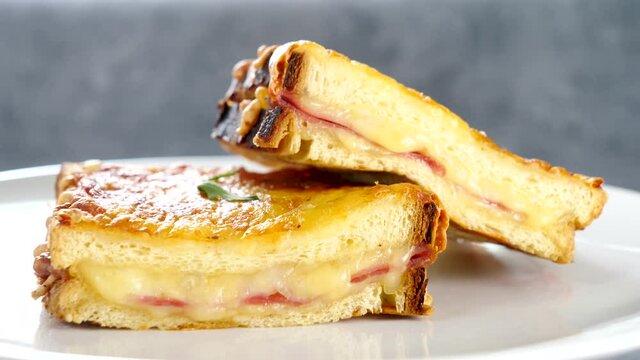 croque monsieur- toasted bread sandwich with cheese