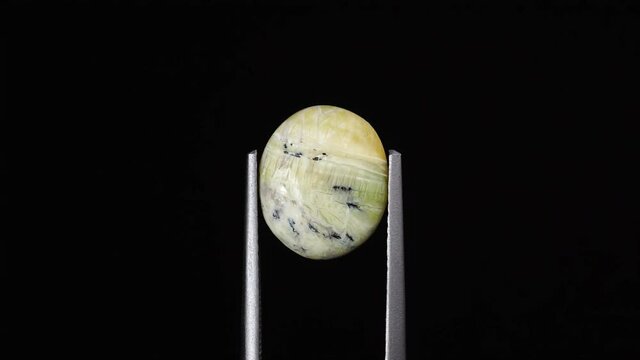 natural green opal gemstone in the tweezer on the background