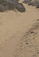 A path of sand in the island of La Graciosa