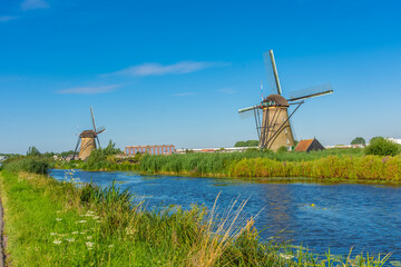 Fototapeta premium Windmills of Kinderdijk in the Netherlands