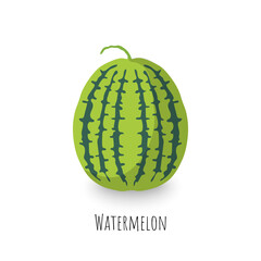 Single watermelon fruit isolated on white backdrop