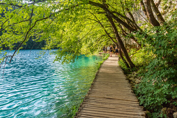 Wooden boardwalk near the Plitvice Lakes, Croatia