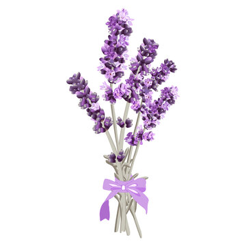 vector image of a bouquet of lavender with a bow in bright purple tones