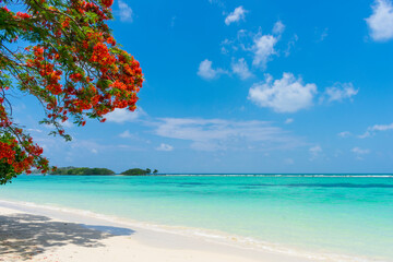 empty tropical paradise beach in Thailand 2021 pandemic travel