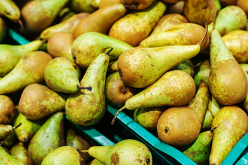 Pear fruits in plastic boxes. Wholesale and retail trade in fruit. Close-up