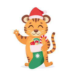Cute tiger in a Santa's hat with Christmas sock and candies. Year of the tiger. Vector illustration