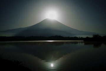 The warm sunshine ushered in the spring