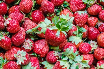 Strawberry healthy berry fruit ripe. nature background.