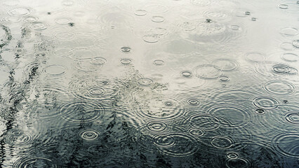 Raindrops and ripples on the water during heavy rain. 