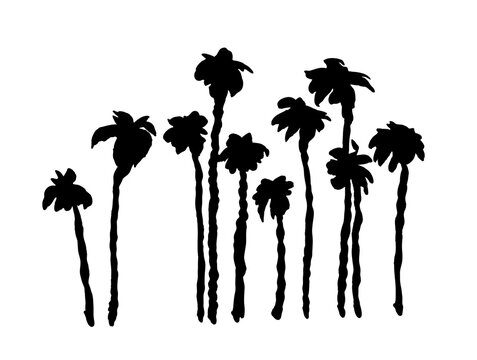 Silhouette hand drawn many palms. Brush Marker black clip art trees. Isolated palm Illustration for design on a white background.