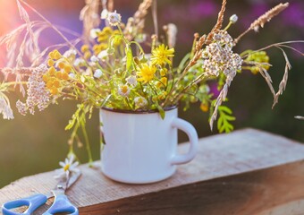 a bouquet of wildflowers is in an iron mug, the sun's rays illuminate the flowers