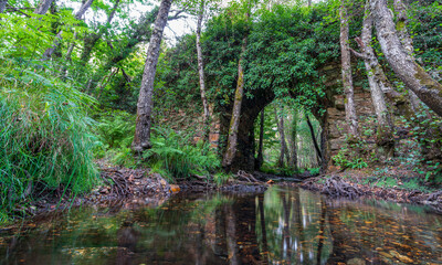 Long exposure of lost stone bridge covered by the forest