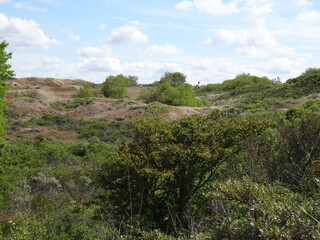 dune baie de somme