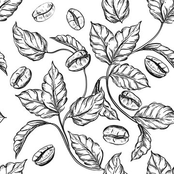 Hand drawn floral seamless pattern black and white of coffee beans, branch, leaf. Vector illustration. Elements in graphic style label, sticker, menu, package.