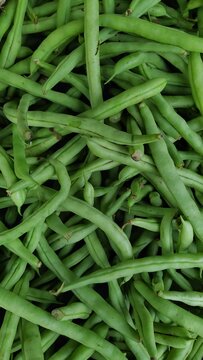 fresh beans
