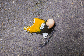 Broken egg on asphalt