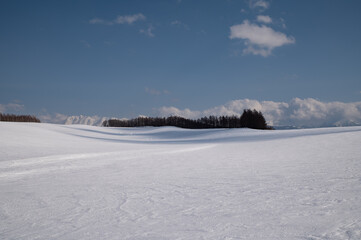 春まじかの美瑛の雪大地