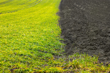 w połowie zorane pole