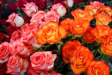 Bouquets of Orange and Pink Roses