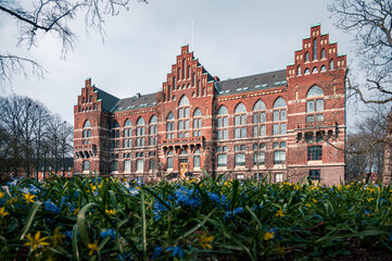 Obraz premium The historic red brick Lund university library in front of spring flowers in springtime in Lund Sweden