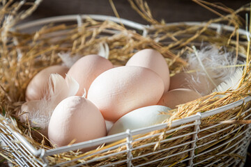 Free range eggs with feathers. Eggs from free range.
