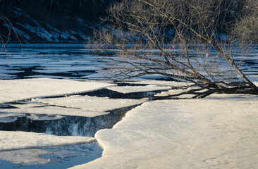 Ice floes and trees at sunset