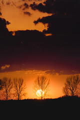 Beautiful and warm sunset vibes with the sun behind a tree silhouette in the german countryside....