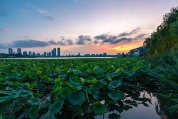Fototapeta na wymiar Nanjing City at Sunset in Summer