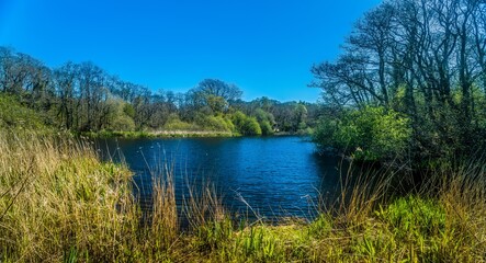 Lake, Gower, Wales, UK