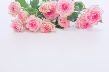 pink roses bouquet in white background