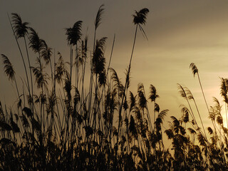 Sunset in Mallorca, Balearic Islands