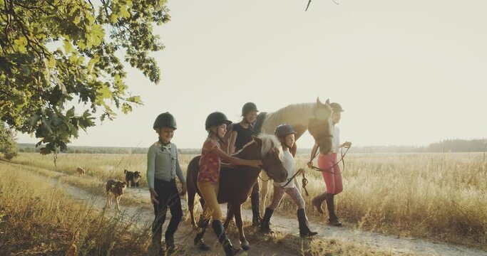 Happy kids at the summer field, horseback riding far away from the city. Beautiful movie about horse riding camp, playful children learn how to care about horses and how to prepare for riding.