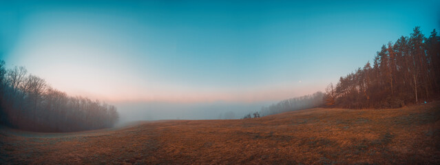 Foggy morning in the field