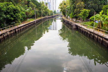 Fototapeta premium Many big trees along the Drainage canal in the city