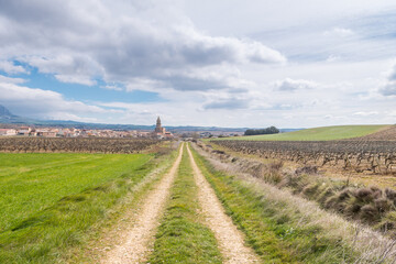 Fototapeta na wymiar panoramic views of vineyard field in la rioja, Spain