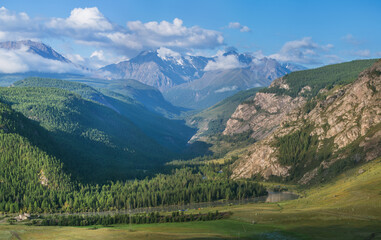 Mountain landscape. Summer greenery, sunny day