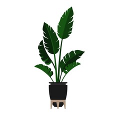 Palm plant. Vector illustration. Indoor plant in modern Scandinavian style.
